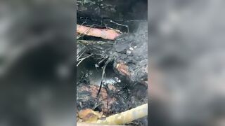 Buddy Fried Alive While Trying To Steal Copper Cables