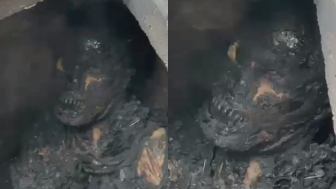 Buddy Fried Alive While Trying To Steal Copper Cables