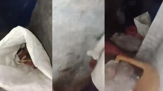 Destroy a killers home