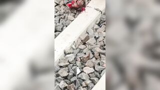 Man Lays On Tracks In Front Of Oncoming Train