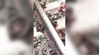 Man Lays On Tracks In Front Of Oncoming Train