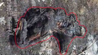 Ukrainian civilian charred.