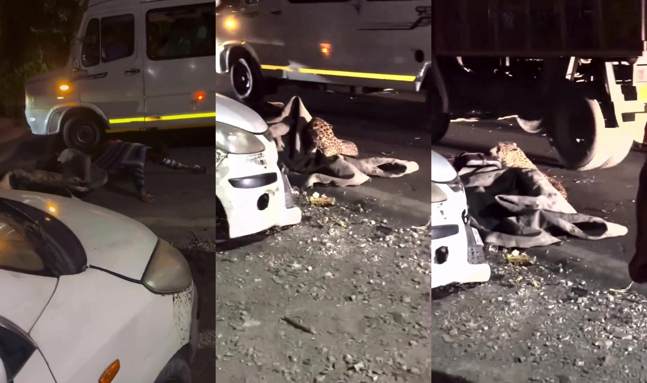 Man escapes from Leopard attack