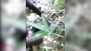 Woman was beheaded alive by a gang