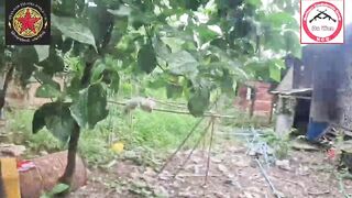 Rebels Ambush & Kill 3 Soldiers Including One In Front Of His Wife & Kid