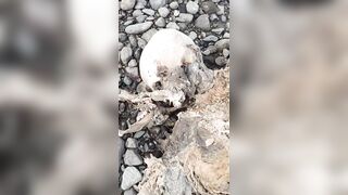 Dismembered Body Found On The Beach In Indonesia