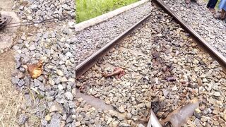 Body parts along train tracks