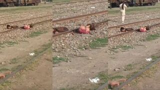 Pakistan train accident