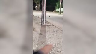 Couple Killed In Terrible Traffic Crash In Brazil