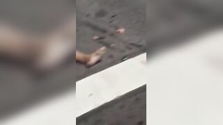 Couple Killed In Terrible Traffic Crash In Brazil