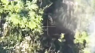 Remains of a failed Ukrainian assault.