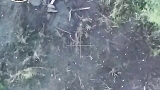 Remains of a failed Ukrainian assault.