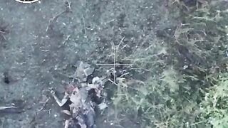 Remains of a failed Ukrainian assault.