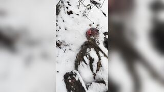 Shooting corpses and looting candy.