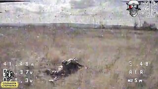 UA_REG TEAM is hunting Russhits.
