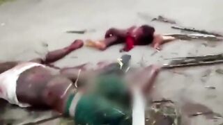 Dismembered with blows from an axe, lots up the ass