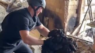 Ukrainian pirate finds his friend.