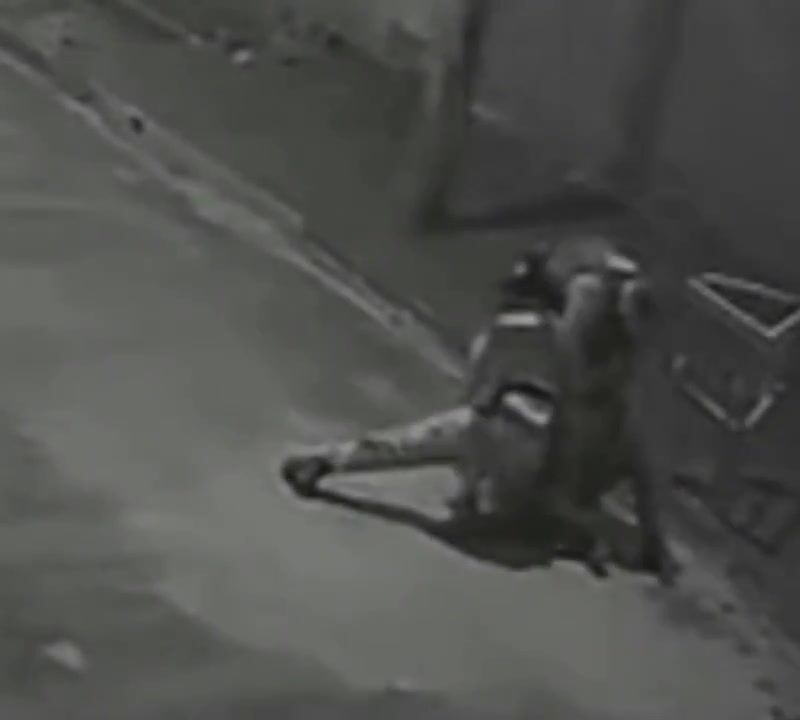 Man executed by police officer after assaulting wife and children