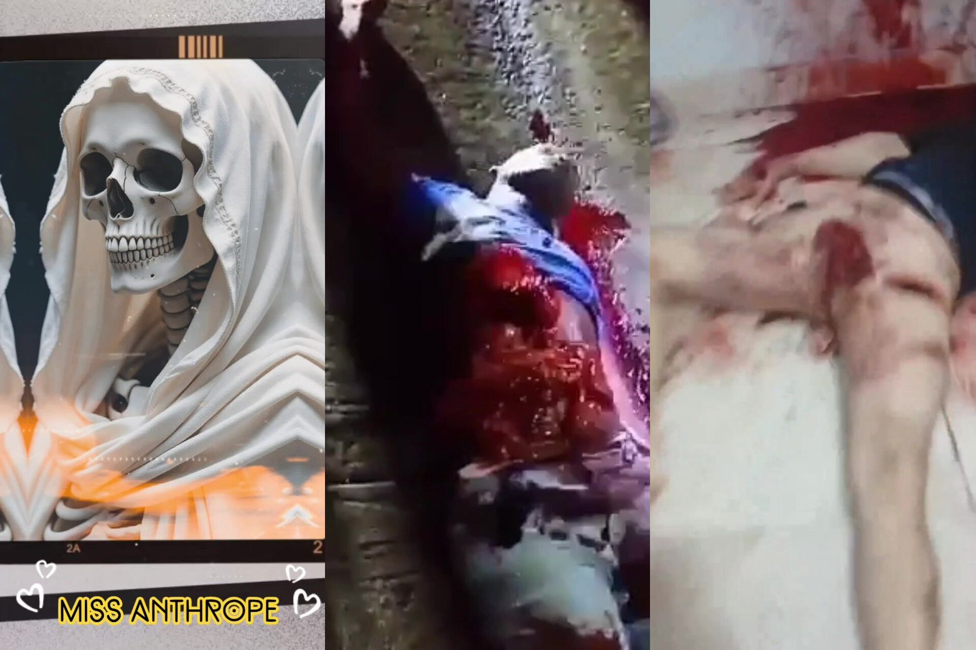 Gore Compilation 32