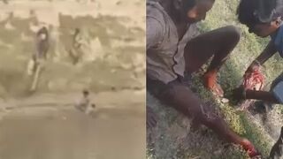 Crocodile Attacks Labourer at Ghaghara River in India