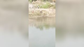Crocodile Attacks Labourer at Ghaghara River in India