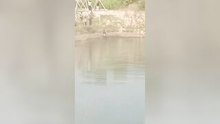Crocodile Attacks Labourer at Ghaghara River in India