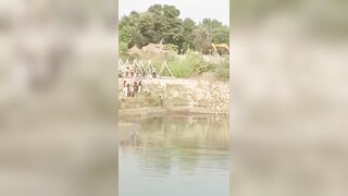 Crocodile Attacks Labourer at Ghaghara River in India