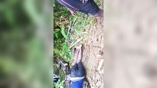 Giant 7-meter python has claimed another life in Indonesia