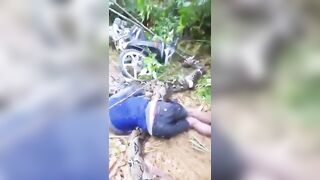 Giant 7-meter python has claimed another life in Indonesia