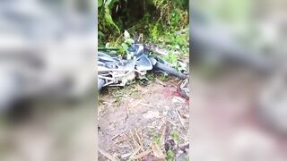 Giant 7-meter python has claimed another life in Indonesia