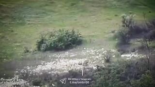 Heavy bomber vs Russhits