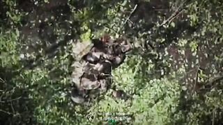 Heavy bomber vs Russhits