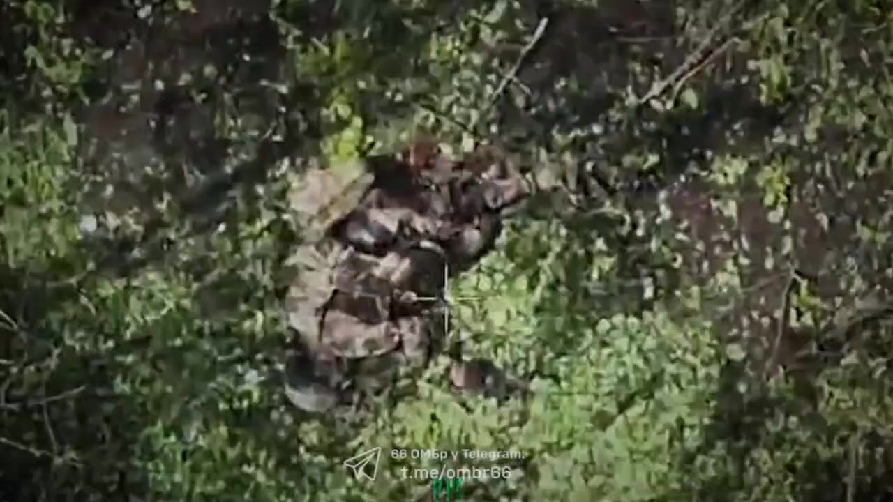 Heavy bomber vs Russhits