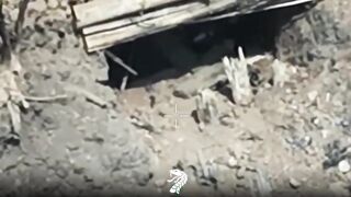 Dead Russians by 61st Brigade.