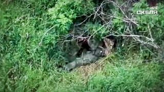 Dead Russians by 425th Regiment.
