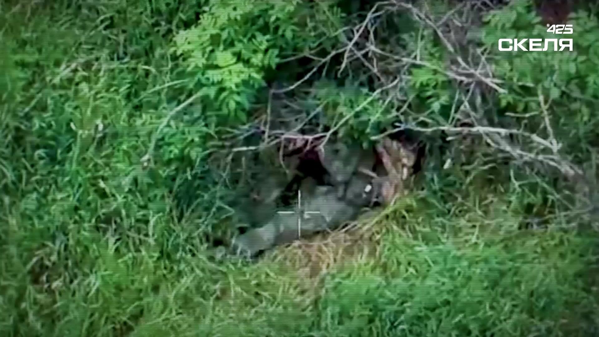 Dead Russians by 425th Regiment.