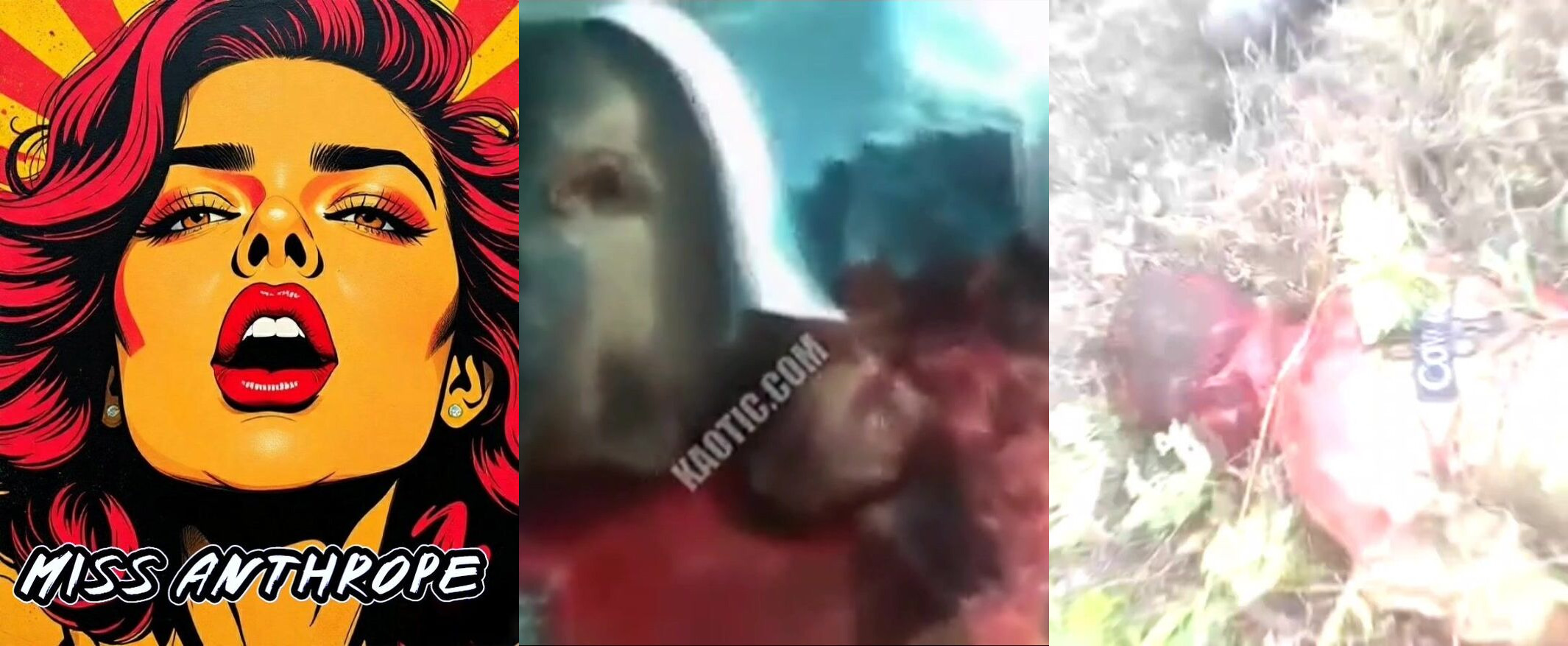 Gore Compilation 33