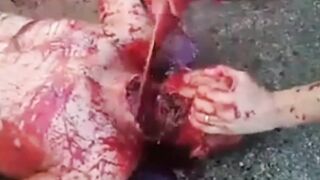 Gore Compilation