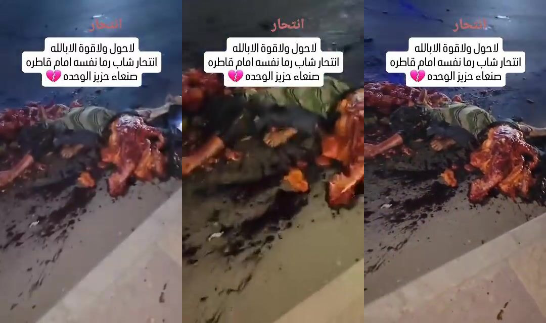 Life ends as road kill