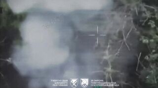 Dead Russians by 25th Brigade.