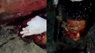 Man is dismembered and found in garbage bags