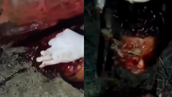 Man is dismembered and found in garbage bags
