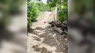 Man Beheaded His Uncle With Machete In Dominican Republic