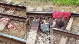 Woman dies on tracks half body destroyed