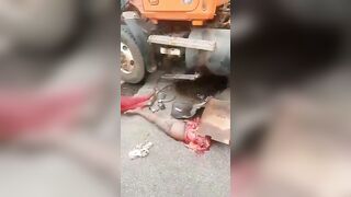 Truck Ripped Rickshaw Driver In Halves in Nigeria