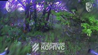 Ukraine's 63rd Mechanized Brigade Steel Lions targeted Russian infantry positions