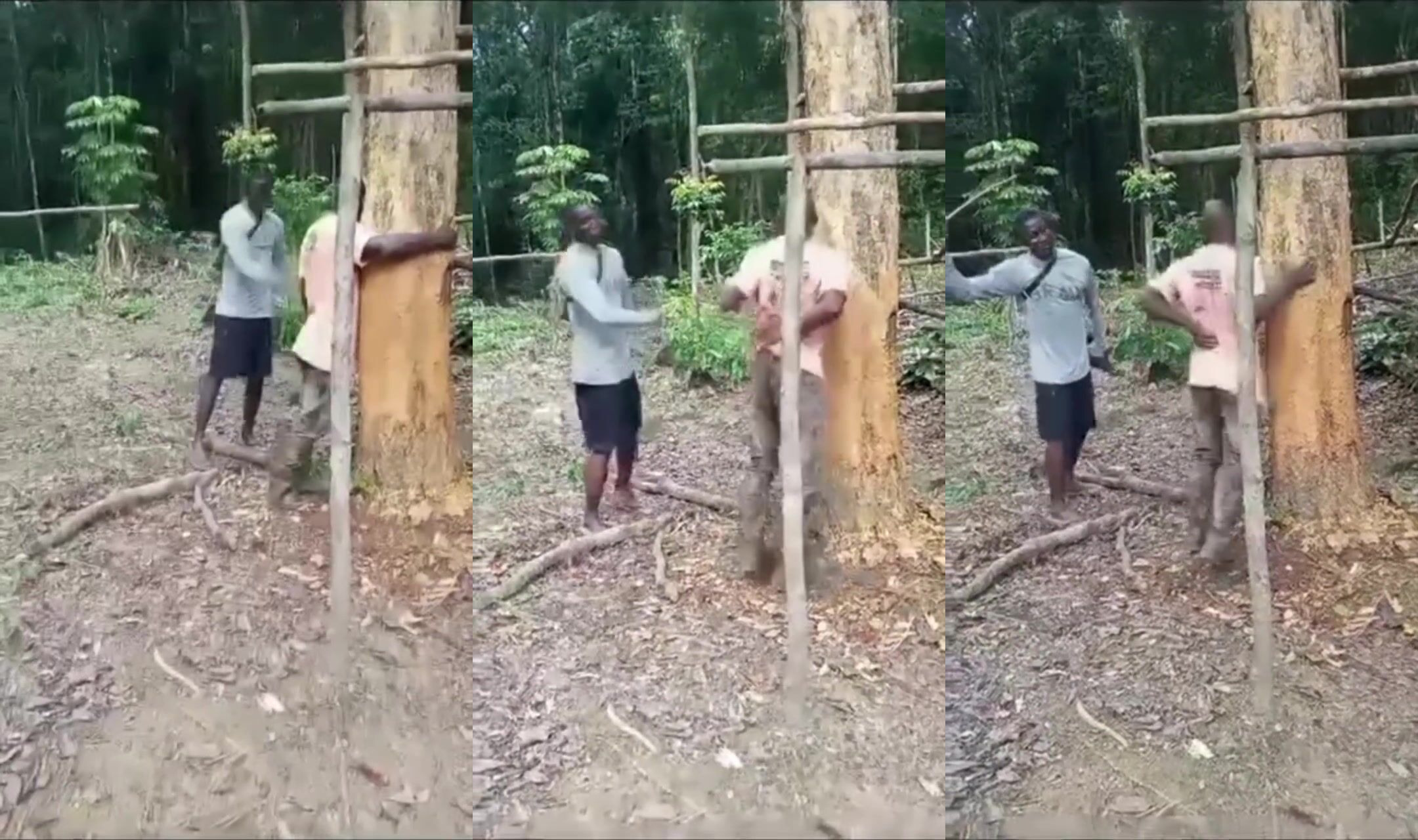 Man Punished For Illegal Humting In National Park