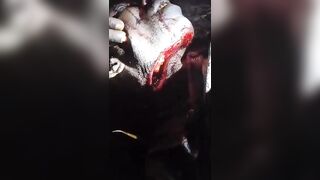 Gunmen Murdered Security Guard With Machete During Kidnapping Of  Teenager