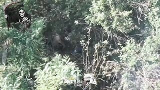 Leaving their hide was the worst possible decision.