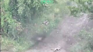 Ukrat went from broken limbs to no limbs.